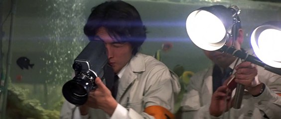 Godzilla vs El Monstruo Del Smog 1971 Español Latino - Godzilla vs Hedorah - Gojira tai Hedora