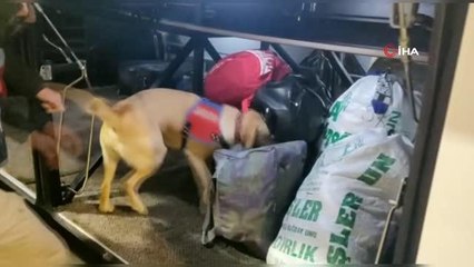 Yol uygulamasında uyuşturucu ve kaçakçılık malzemesi ele geçirildi