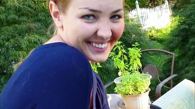 Stalked - Followed by Fear - Se1 - Ep04 HD Watch