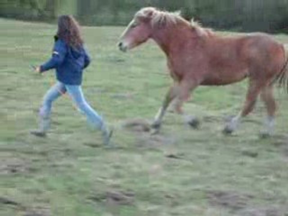 cheyko au galop 3