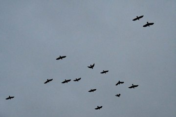 À la bibliothèque d'Argentré, les enfants fabriquent une machine qui fait peur