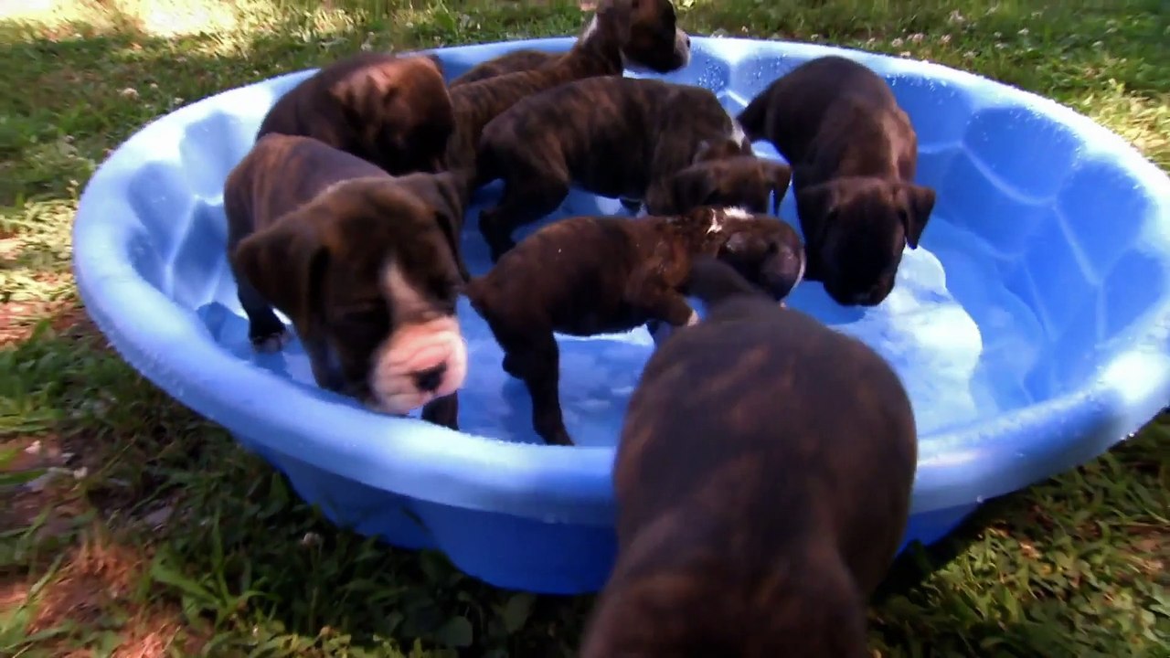 Too Cute! - Ep16 HD Watch