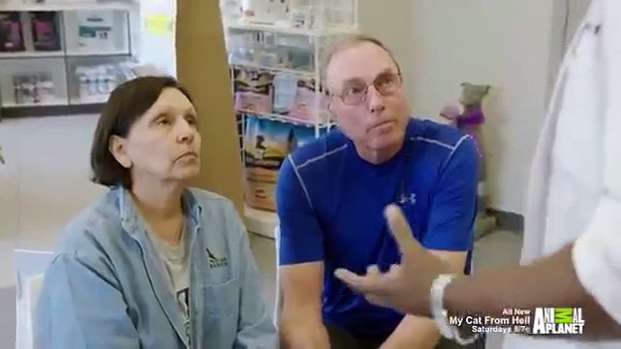 The Vet Life - Se2 - Ep08 - Tuskegee Reunion HD Watch