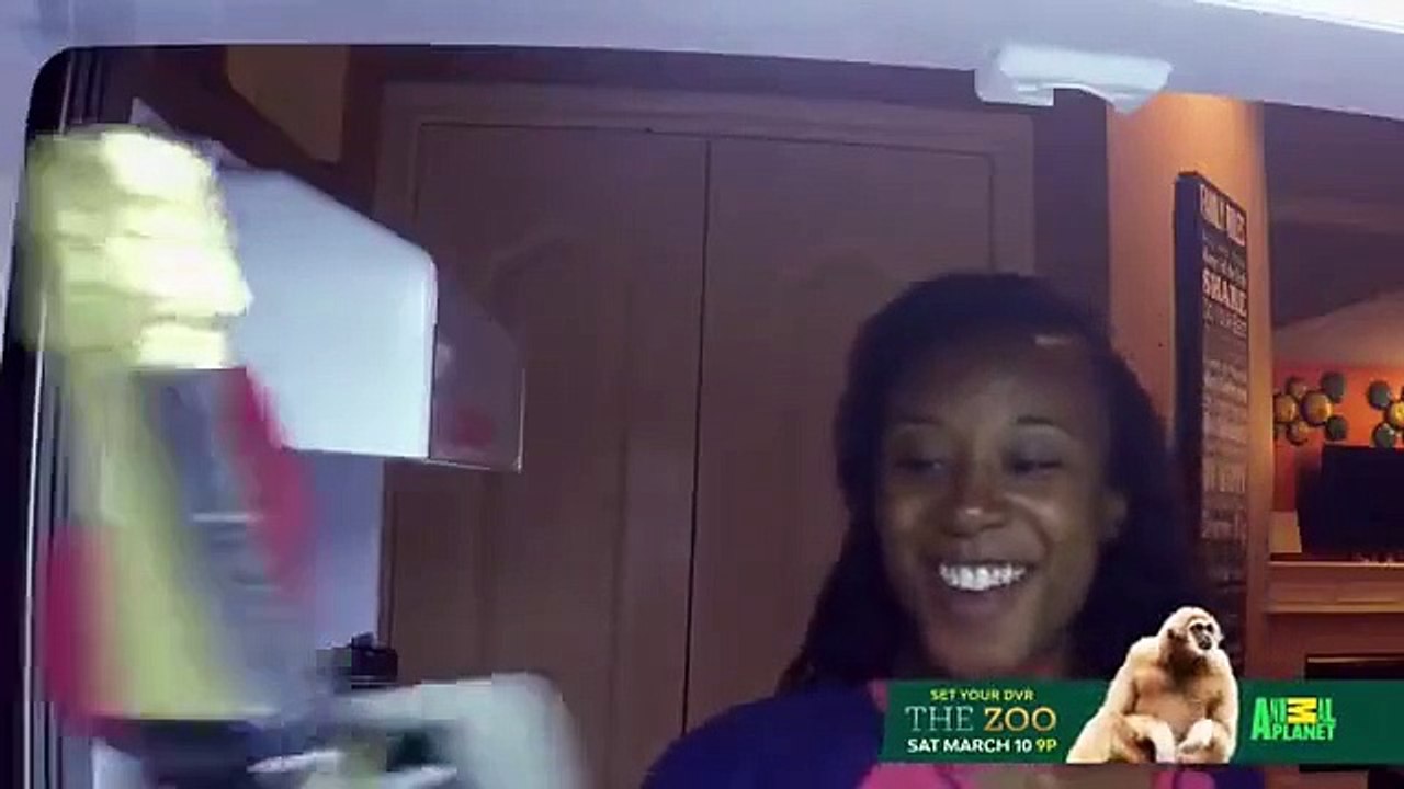 The Vet Life - Se3 - Ep08 HD Watch