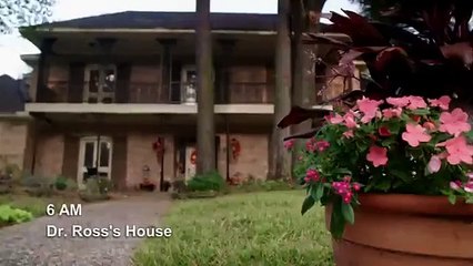 The Vet Life - Se4 - Ep01 - The Pig Whisperers HD Watch