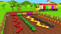 Harvesting Fruits and Vegetables with Tractors Learn Colors for Kids Children _ ZORIP