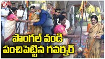 Governor Tamilisai Celebrates Sankranti Festival At Raj Bhavan _ Hyderabad _ V6 News