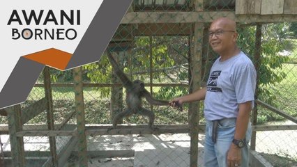 Zoo Mini | Kekangan kewangan sekat hasrat tambah baik fasiliti