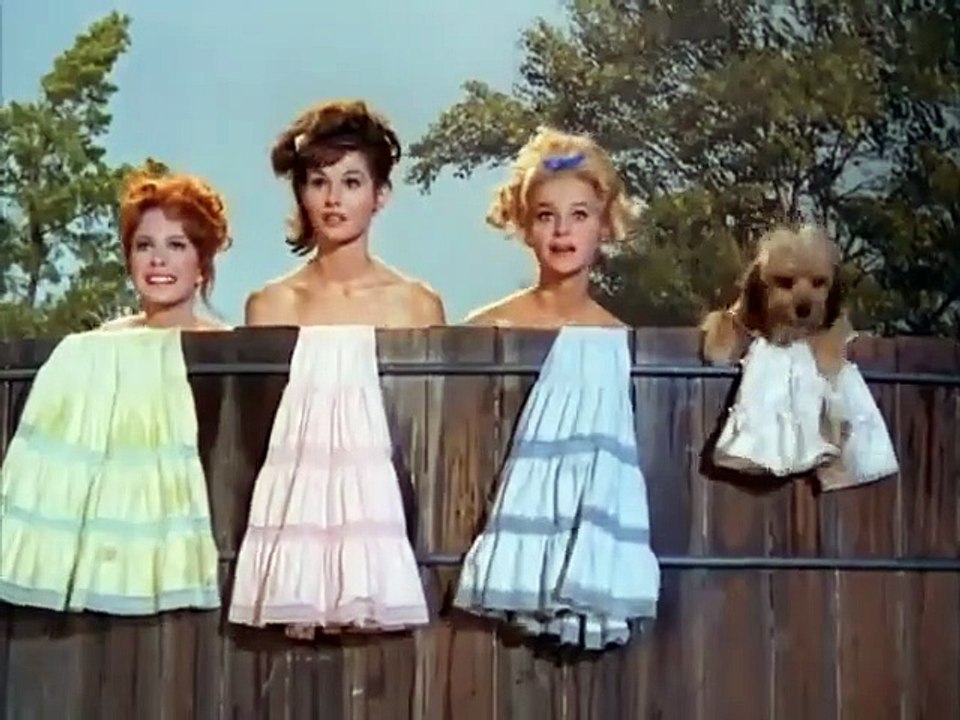 Petticoat Junction - Se3 - Ep21 HD Watch