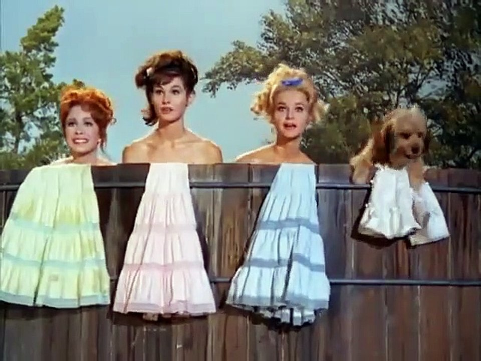 Petticoat Junction - Se3 - Ep25 HD Watch