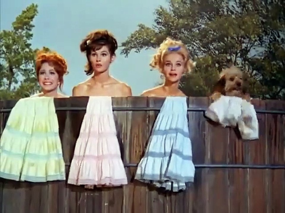 Petticoat Junction - Se3 - Ep27 HD Watch