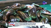 Ilang bahagi ng Masbate, Capiz, Bohol, Samar, Zamboanga Del Sur, at Surigao Del Sur, nagpositibo sa toxic red tide | News Live