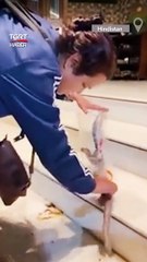 Kobra Yılanına Turşu Bidonuyla Etkisiz Hale Getirdi #shorts #bidon #yılan