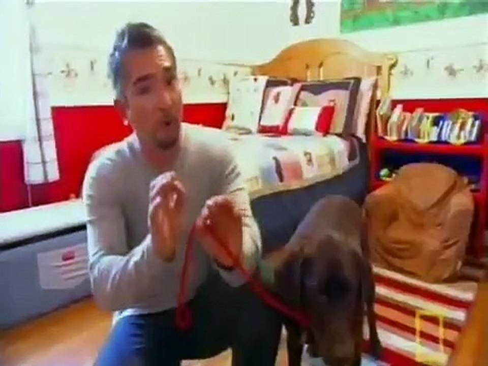 Dog Whisperer with Cesar Millan - Se2 - Ep12 HD Watch