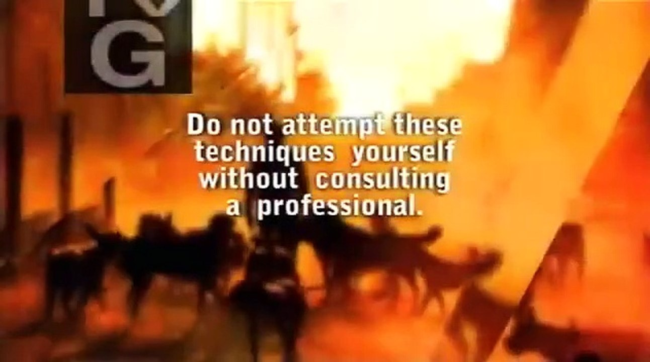 Dog Whisperer with Cesar Millan - Se2 - Ep16 HD Watch