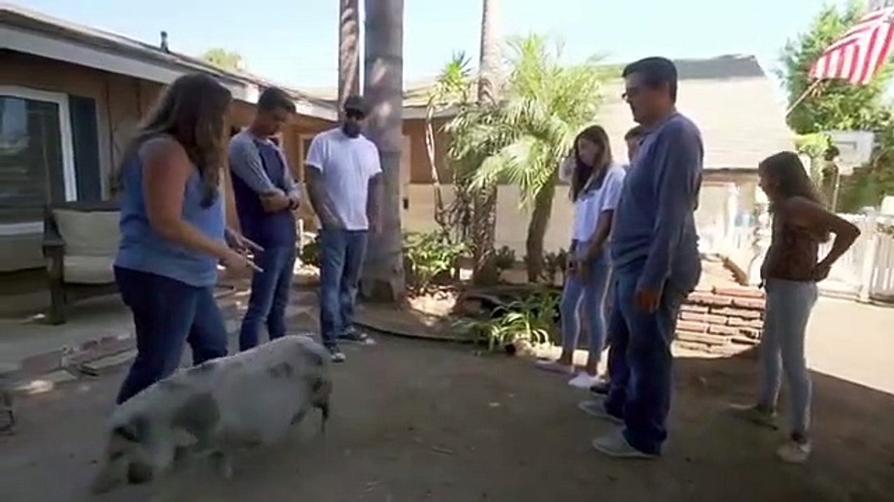 Animal Cribs - Se2 - Ep07 - Pot Bellied Pig Palace HD Watch