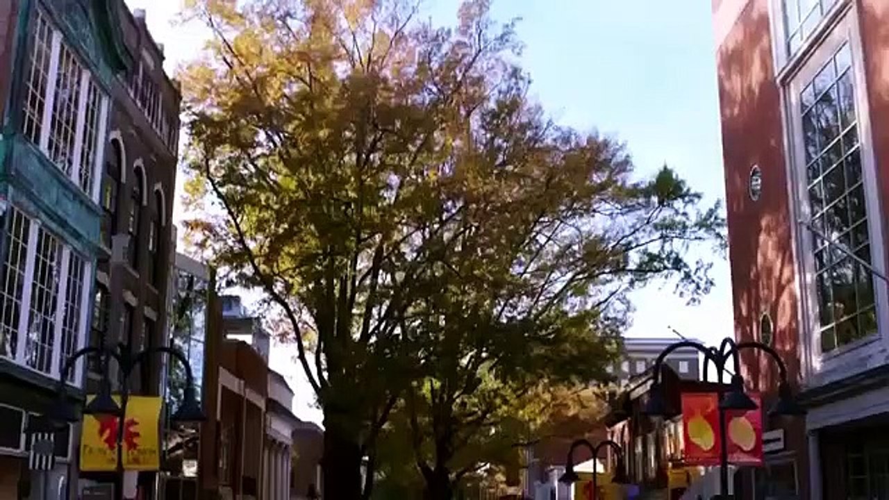 Disappeared - Se9 - Ep05 - Born This Way HD Watch