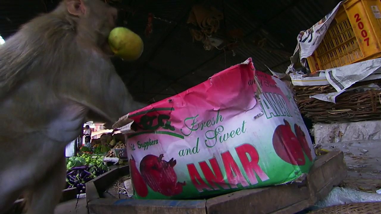 Earth Odyssey with Dylan Dreyer - Se2 - Ep07 - Thar Desert HD Watch