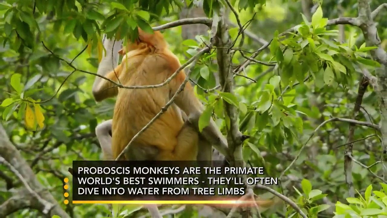 Earth Odyssey with Dylan Dreyer - Se2 - Ep14 - Best Of - Islands HD Watch