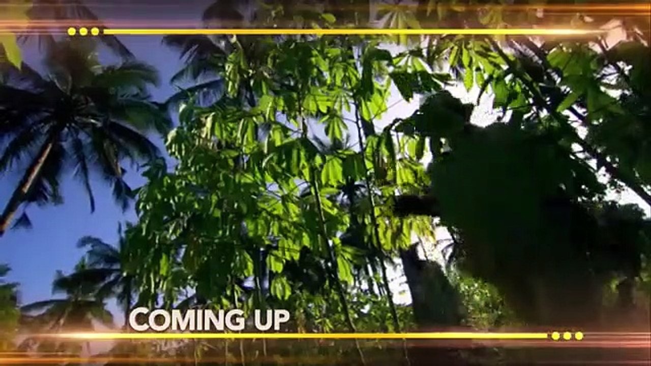 Earth Odyssey with Dylan Dreyer - Se2 - Ep20 - Zanzibar Revisited HD Watch