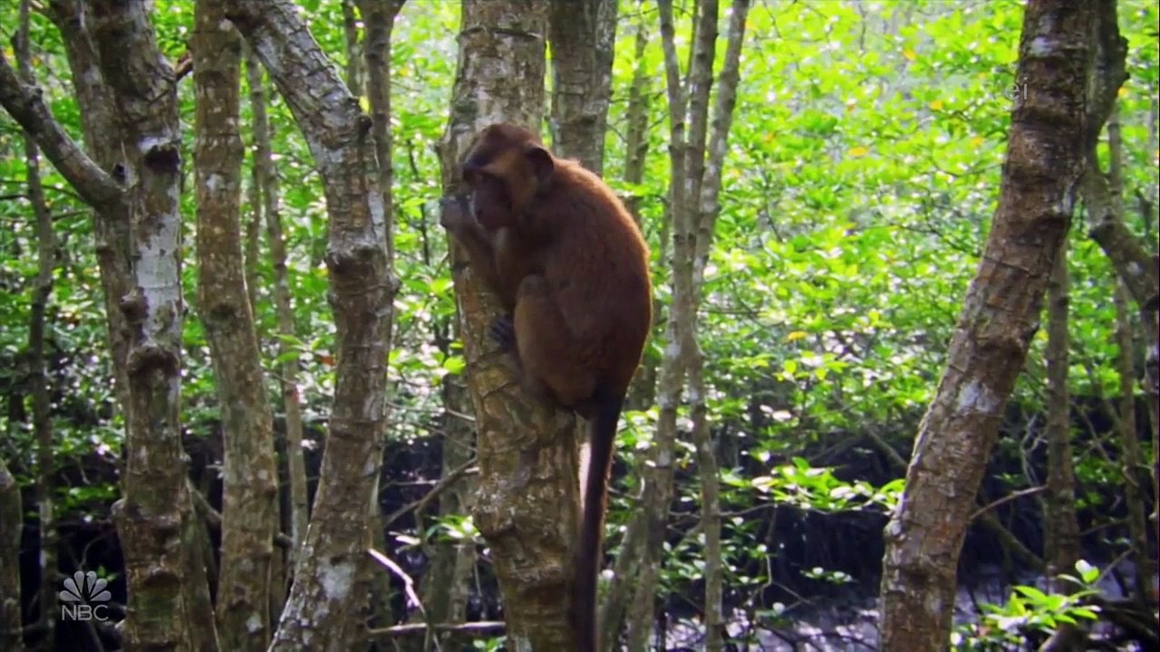 Earth Odyssey with Dylan Dreyer - Se2 - Ep12 - Philippines Revisited HD Watch