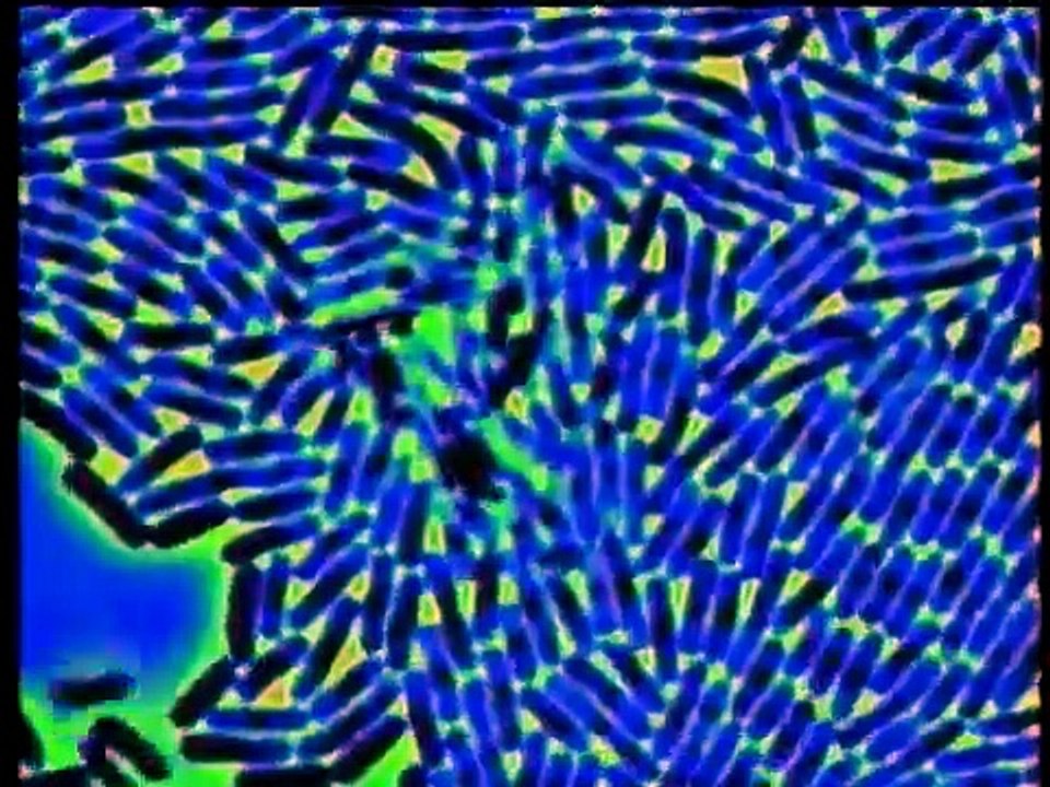 Forensic Files - Se4 - Ep10 HD Watch