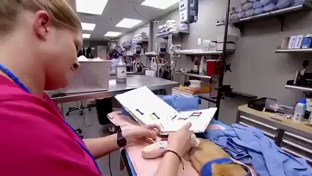 Dr. Jeff - Rocky Mountain Vet - Se6 - Ep11 - The Cutest Yak in Colorado HD Watch