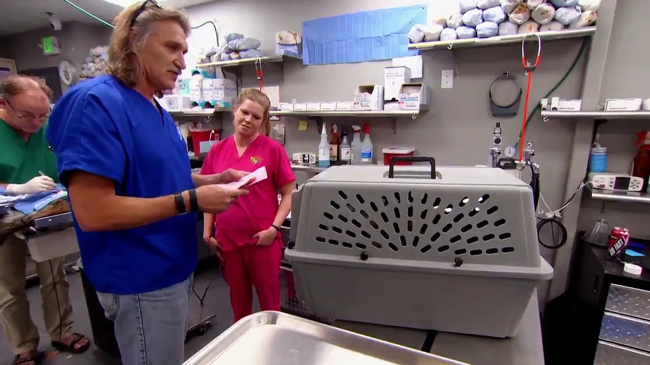 Dr. Jeff - Rocky Mountain Vet - Se6 - Ep02 HD Watch
