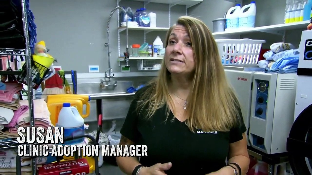 Dr. Jeff - Rocky Mountain Vet - Se7 - Ep01 - A First for Dr Jeff HD Watch