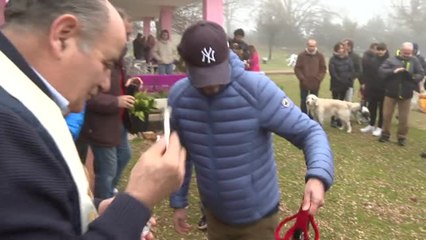 Video herunterladen: Los perros vuelven a la Fundación El Arca de Noé con su nuevas familias por San Antón