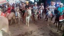 Provas inusitadas são atrações na Festa de Alto Belo, no Norte de Minas