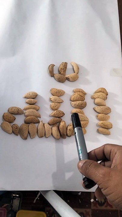 Allah