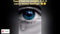 Tears has no weight, but it carry heavy feelings  #tears #pain #heartbroken #sadlife #brokenlife #li