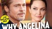 Brad Pitt 'Divorce' Angelina Jolie: He's not going to lose his kids!