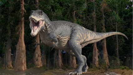 This dinosaur might have been as smart as a primate