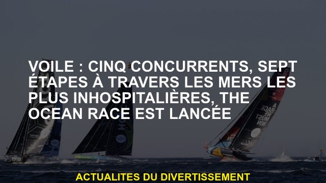 Sail: cinq concurrents, sept étapes à travers les mers les plus inhospitalières, la course océanique