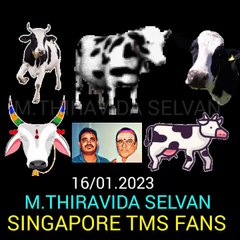 HAPPY PONGAL 16 January 2023. TMS LEGEND. M.THIRAVIDA SELVAN