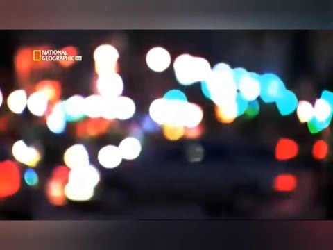 Cocaina: Historia, efectos y consecuencias