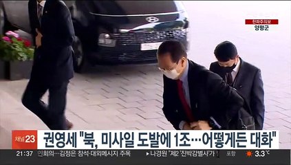 권영세 "북, 미사일 도발에 1조 쏟아부어…어떻게든 대화 시작"