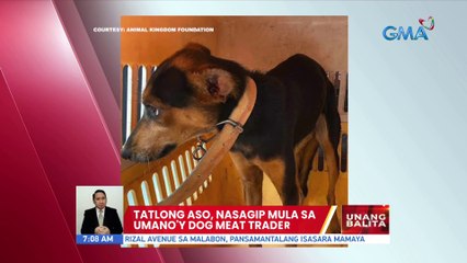 Tatlong aso, nasagip mula sa umano'y dog meat trader | UB