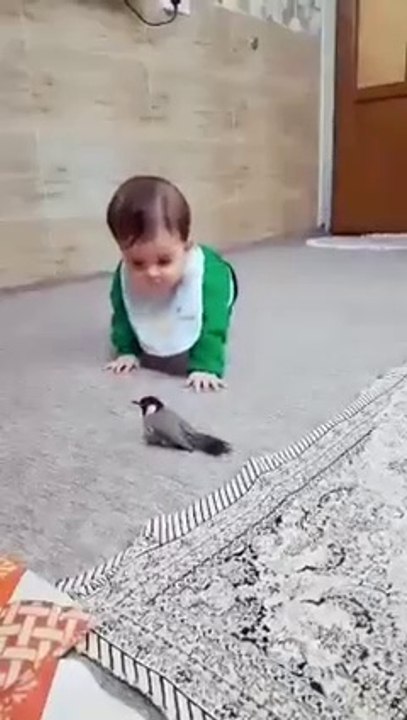 jolie rencontre  لقاء طريف