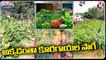 Thosham Villagers Cultivating Different Types Of Vegetables _ Adilabad _ V6 Teenmaar