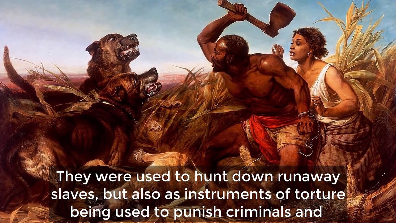 Extinct Dog Breeds That You Never Knew Existed