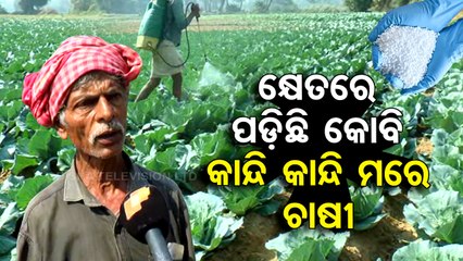 Re 1 rice grain distribution a deception, Odisha govt failing to meet farmers’ requirements
