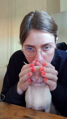 Saphira The Kitty Sneezes a Little Too Hard