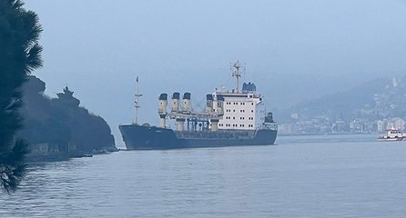 Yük gemisi karaya oturdu, Boğaz trafiği askıya alındı