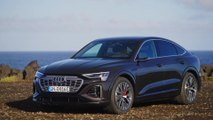 The new Audi Q8 Sportback e-tron Exterior Design in Madeira Brown