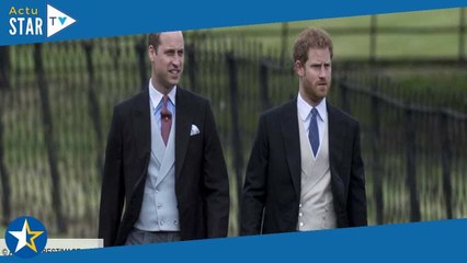 William et Harry : ce personnage clé qui pourrait tout arranger