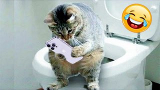 Try Not To Laugh New  Best Cats and Dogs Videos 2023 | HaHa Animals