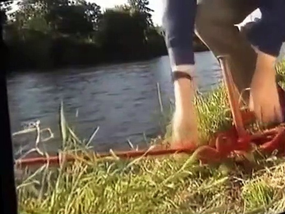 Rosie and Jim Rosie and Jim S01 E025 Finding the Way